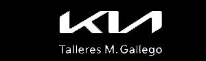 TALLERES M. GALLEGO, S.L.