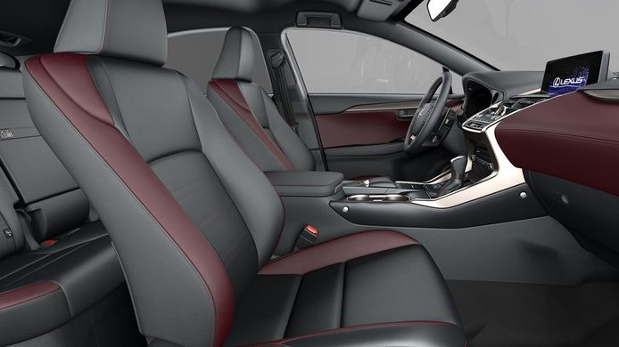 Lexus NX 300h 2021 - interior