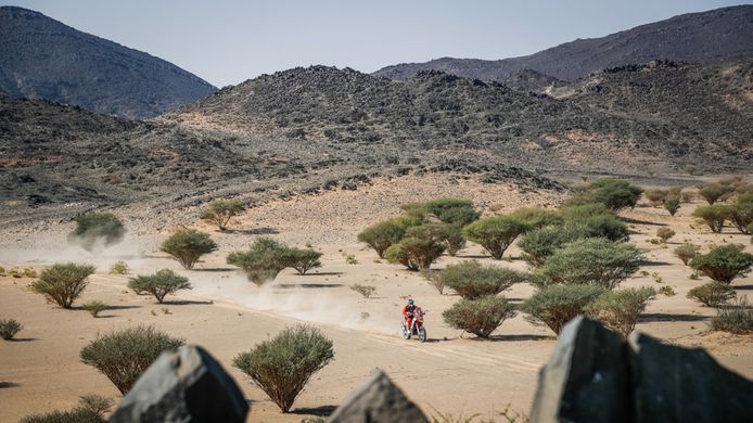 Dakar 2022: ¿Dónde ver el rally y cómo seguir la carrera?