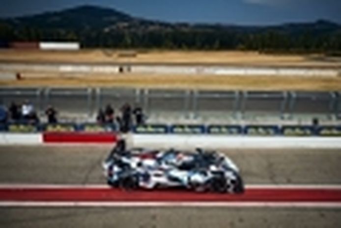 The BMW Motorsport LMDh project will be made up of in-house drivers