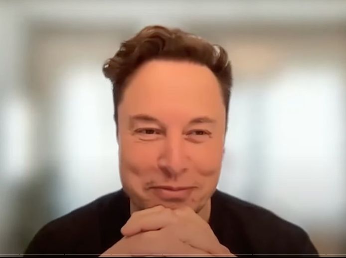 Elon Musk y Twitter: ¿la zorra al cargo de las gallinas?