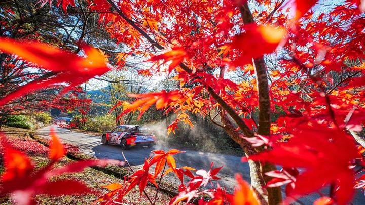 Ott Tänak exprime sus opciones al título del WRC, aunque Thierry Neuvile ha logrado salvar los muebles