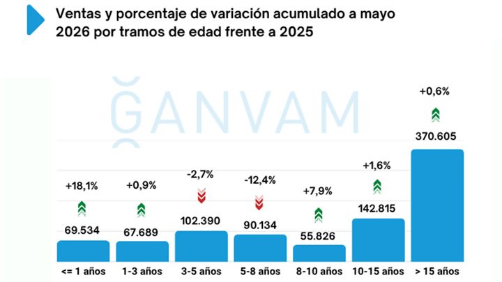 Ventas de coches de ocasión en España en mayo de 2026
