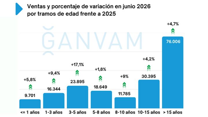 Ventas de coches de ocasión en España en junio 2026