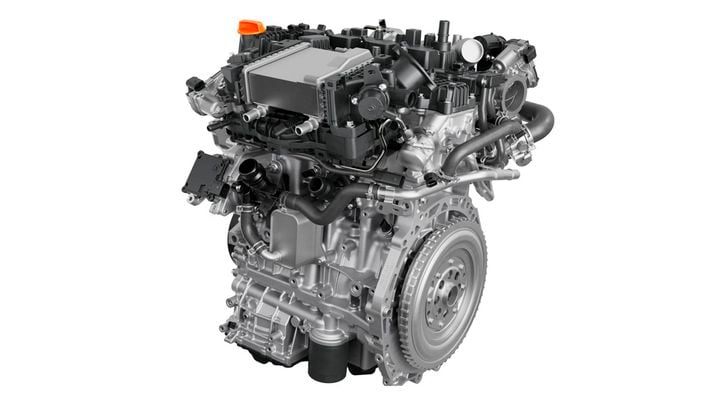 HORSE B20