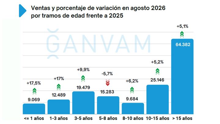 Ventas de coches de ocasión en España en agosto de 2026