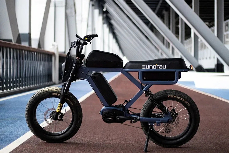 vesícula biliar Ministro Inspector Eunorau Flash: la bicicleta eléctrica con alma de moto, tracción total y  una autonomía de 350 km
