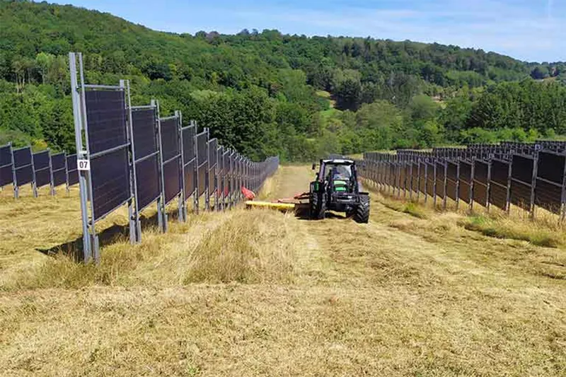 Los paneles solares verticales de doble cara, la nueva solución en auge  para impulsar la energía agrovoltaica en el campo