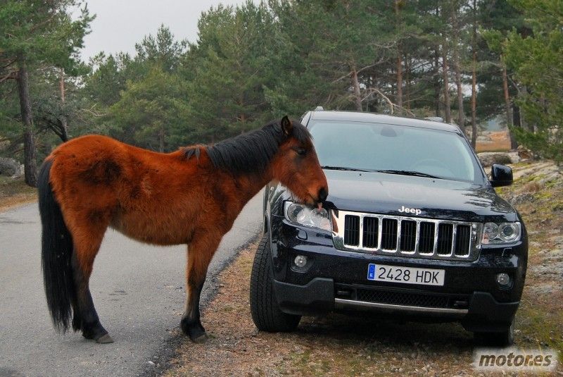 jeep-grand-cherokee-30-v6-crd-241-cv-lim
