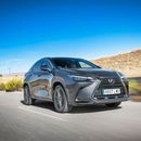 Lexus NX 350h (Gris Sonic)