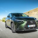 Lexus NX 450h+ (Verde oliva)