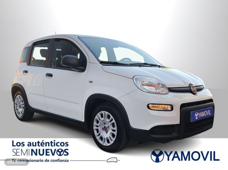 Imagen 2