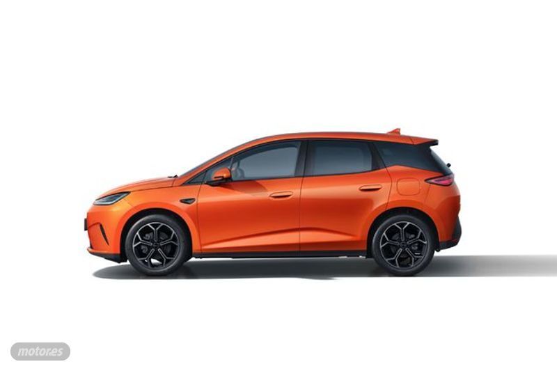 Imagen 2