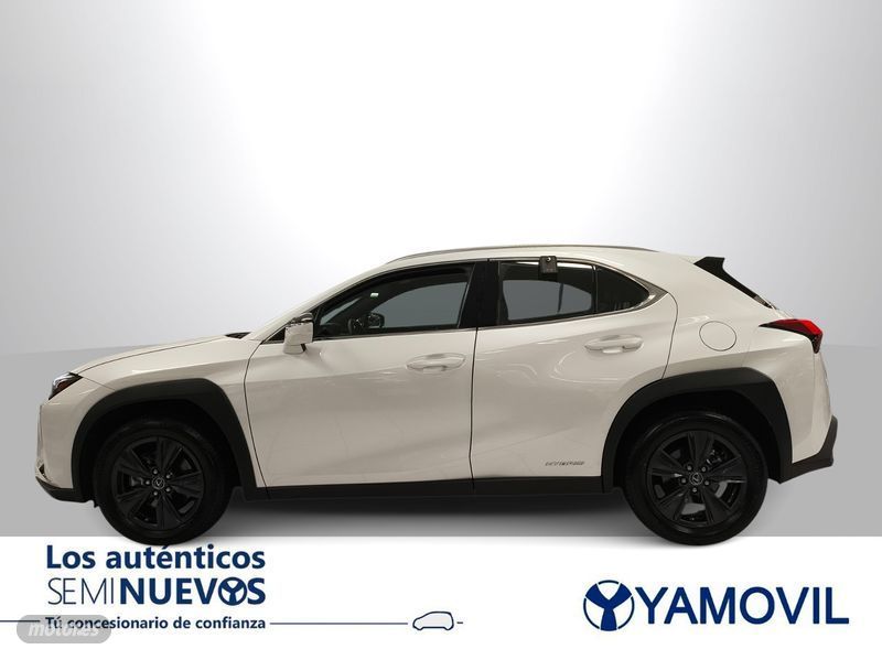 Imagen 2