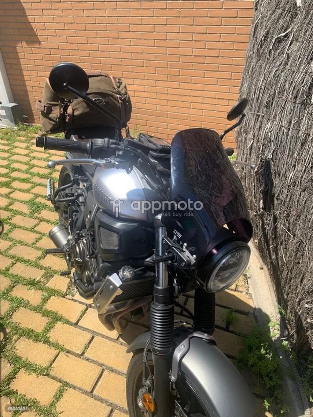 Imagen 2