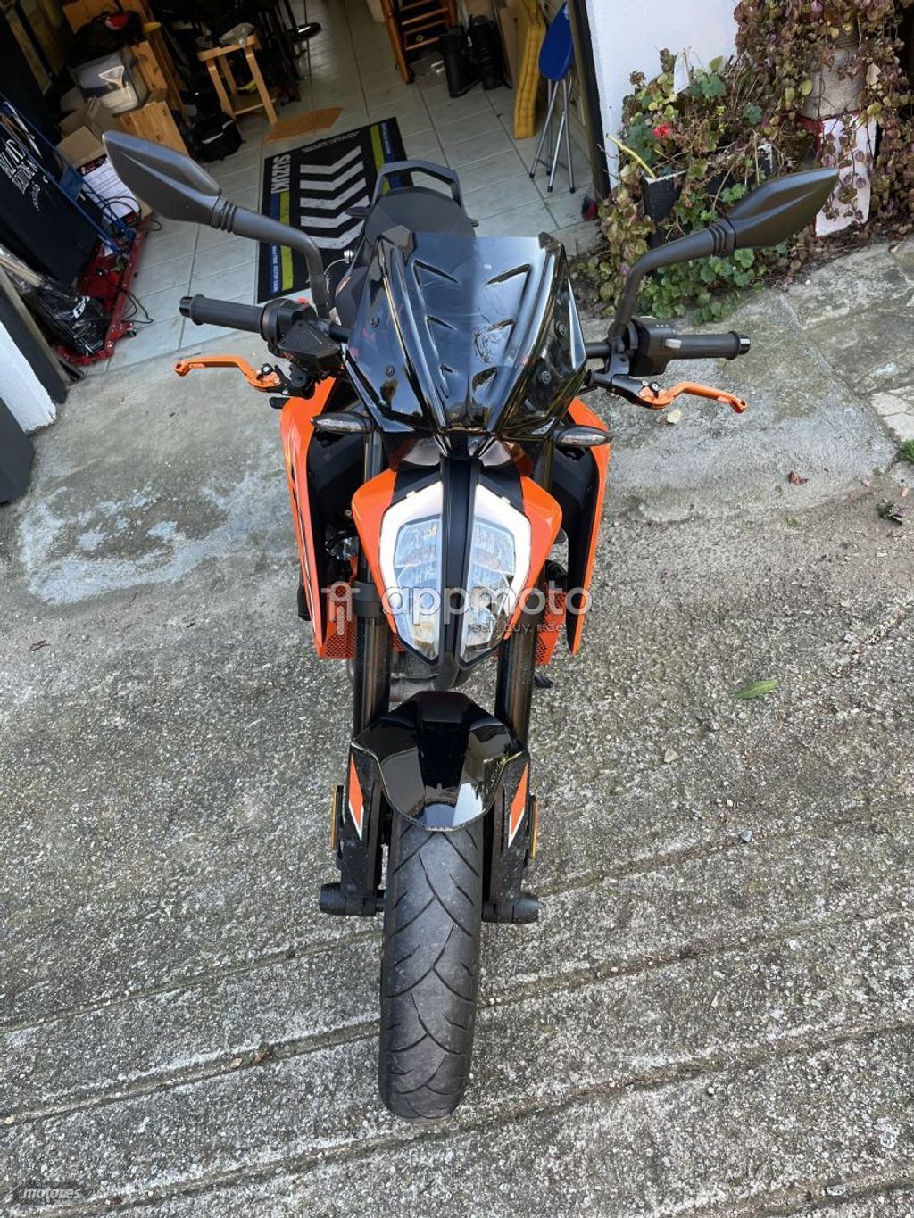 Imagen 2