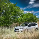 Subaru Forester Eco Hybrid - Miniatura 16