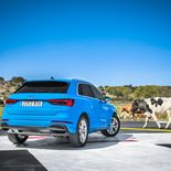 Audi Q3 Advanced 35 TFSI S tronic - Miniatura 9