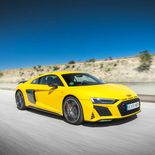 Audi R8 Coupé Performance (Amarillo Vegas) - Miniatura 5