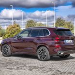 BMW X5 xDrive30d (Ametrin Metallic) - Miniatura 15