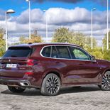 BMW X5 xDrive30d (Ametrin Metallic) - Miniatura 19