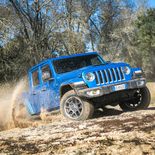 Jeep Gladiator - Miniatura 5