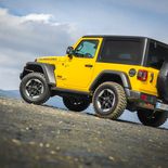 Jeep Wrangler Rubicon 2.0 GME ATX - Miniatura 5