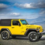 Jeep Wrangler Rubicon 2.0 GME ATX - Miniatura 24