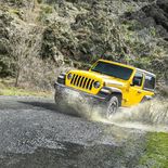 Jeep Wrangler Rubicon 2.0 GME ATX - Miniatura 20