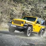 Jeep Wrangler Rubicon 2.0 GME ATX - Miniatura 21