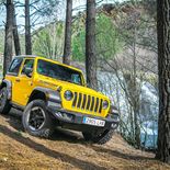 Jeep Wrangler Rubicon 2.0 GME ATX - Miniatura 22