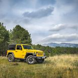 Jeep Wrangler Rubicon 2.0 GME ATX - Miniatura 24