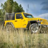 Jeep Wrangler Rubicon 2.0 GME ATX - Miniatura 27