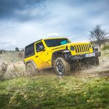 Jeep Wrangler Rubicon 2.0 GME ATX - Miniatura 7