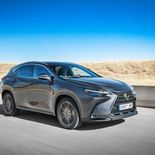 Lexus NX 350h (Gris Sonic) - Miniatura 3