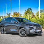 Lexus NX 350h (Gris Sonic) - Miniatura 7