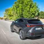 Lexus NX 350h (Gris Sonic) - Miniatura 12