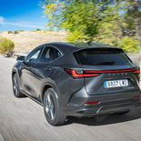 Lexus NX 350h (Gris Sonic) - Miniatura 13