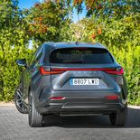 Lexus NX 350h (Gris Sonic) - Miniatura 17