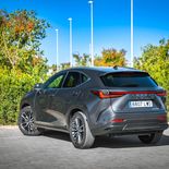 Lexus NX 350h (Gris Sonic) - Miniatura 18