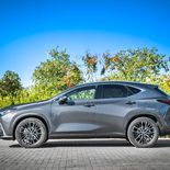 Lexus NX 350h (Gris Sonic) - Miniatura 10