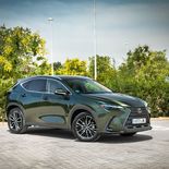 Lexus NX 350h - Miniatura 13