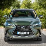 Lexus NX 350h - Miniatura 15