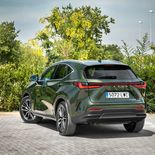 Lexus NX 350h - Miniatura 20