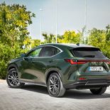 Lexus NX 350h - Miniatura 21