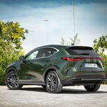 Lexus NX 350h - Miniatura 22