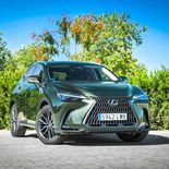 Lexus NX 450h+ (Verde oliva) - Miniatura 5