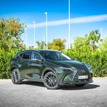 Lexus NX 450h+ (Verde oliva) - Miniatura 7