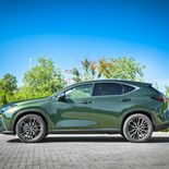 Lexus NX 450h+ (Verde oliva) - Miniatura 13