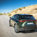 Lexus NX 450h+ (Verde oliva) - Miniatura 16